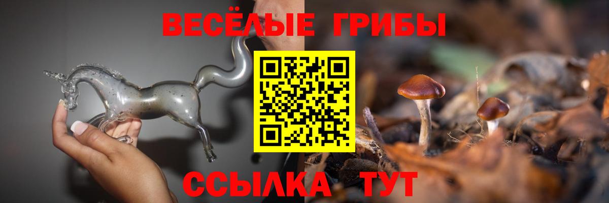 Галлюциногенные грибы ЛСД Среднеуральск